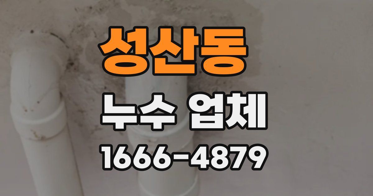 성산동 누수 업체