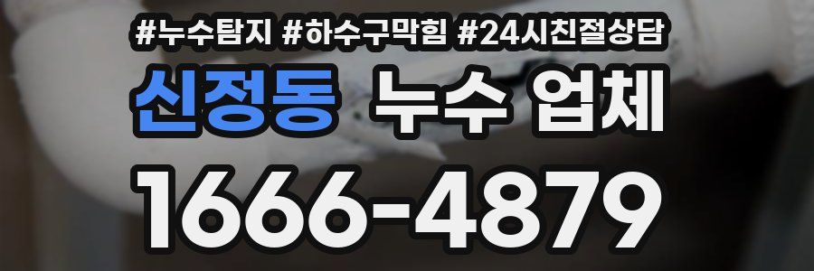 신정동 누수 업체