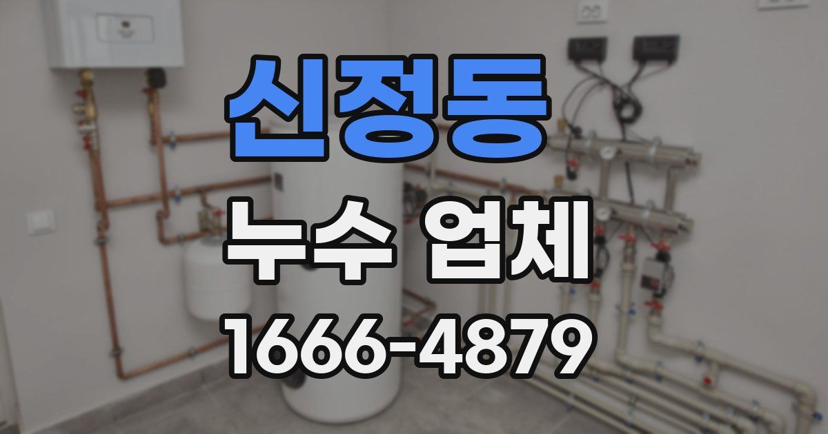 신정동 누수 업체