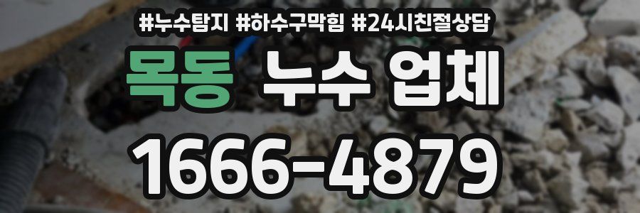 목동 누수 업체