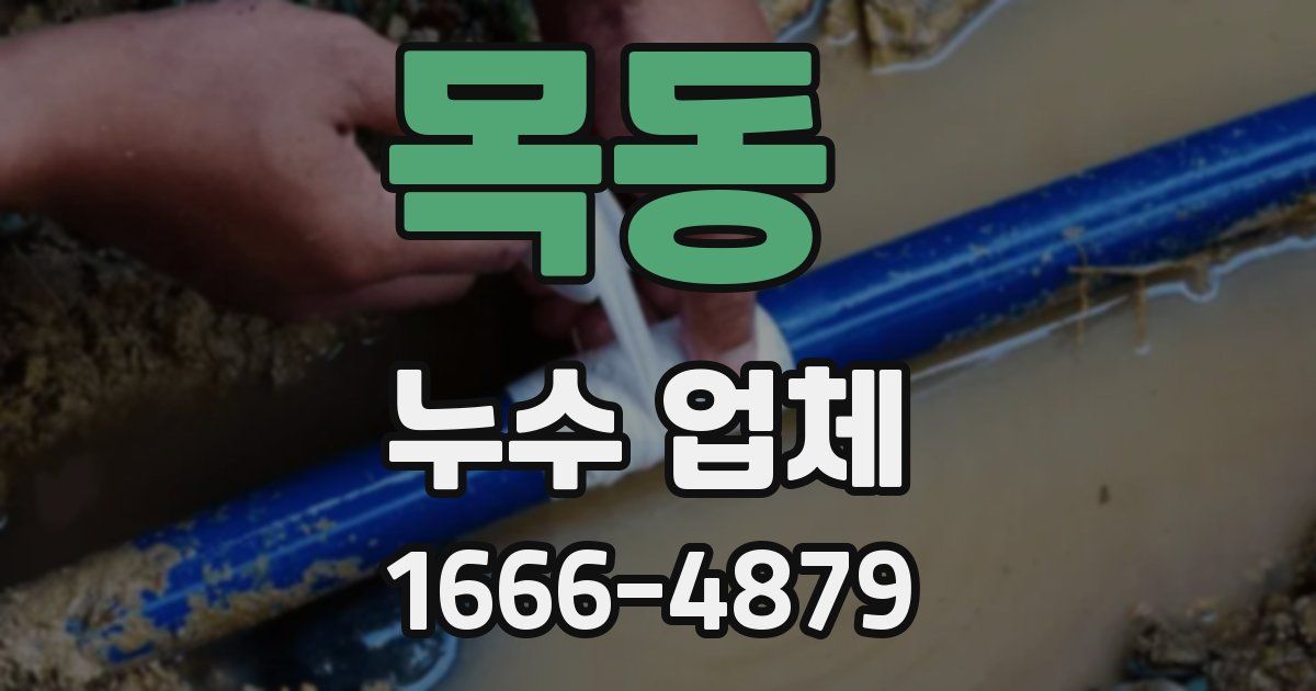 목동 누수 업체