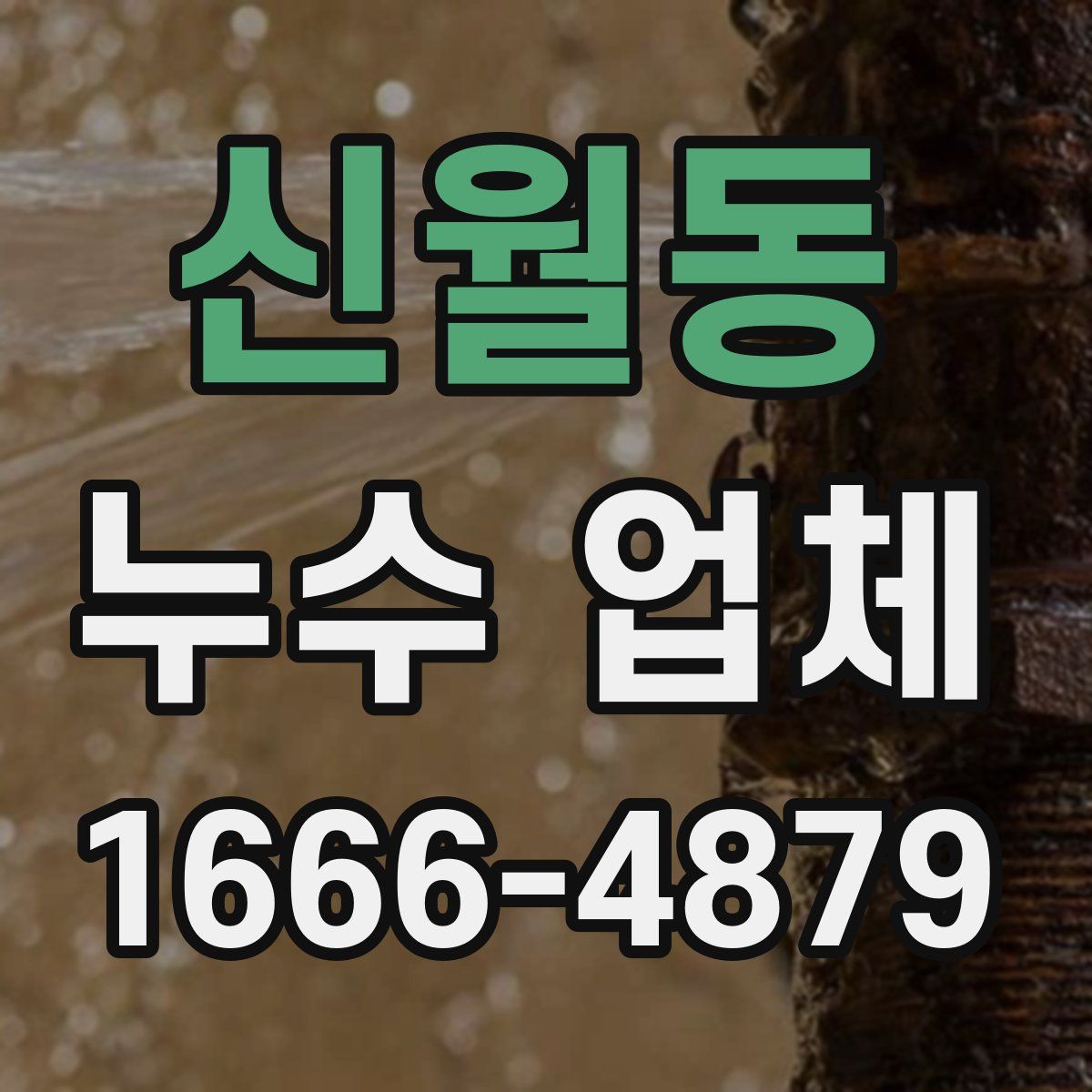 신월동 누수 업체