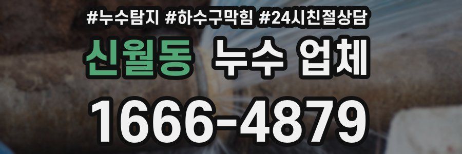 신월동 누수 업체