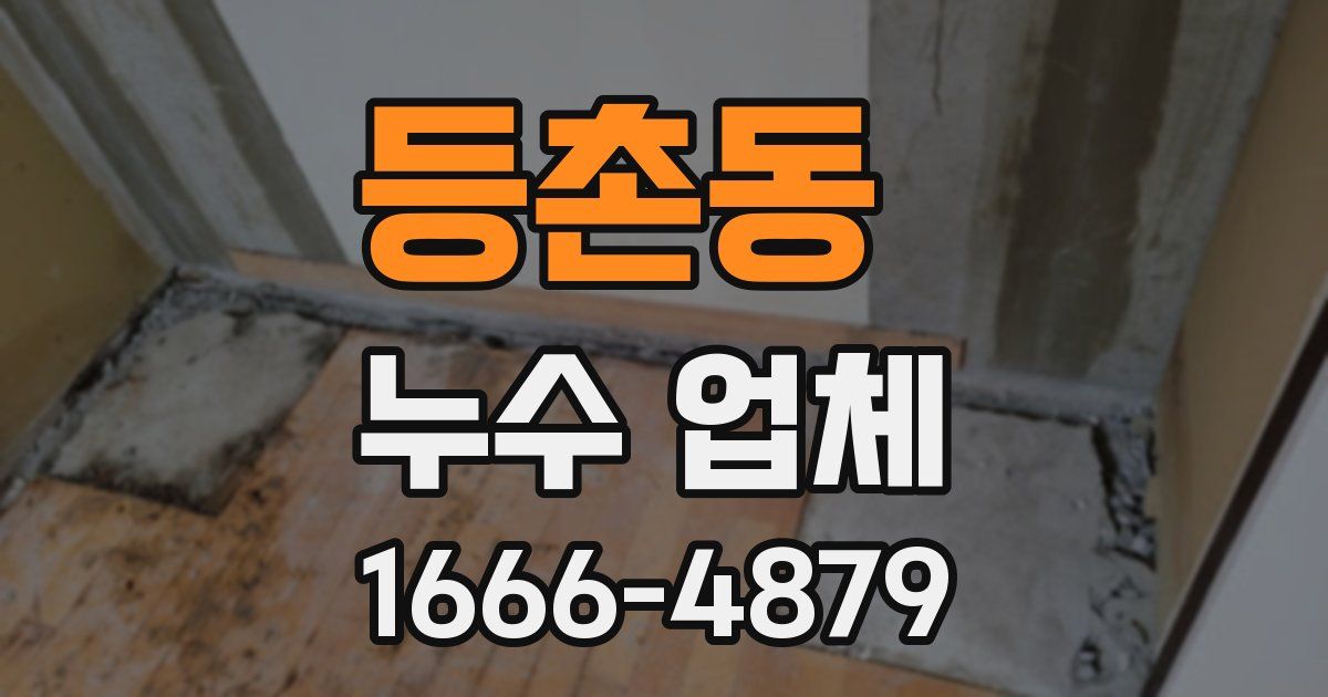 등촌동 누수 업체