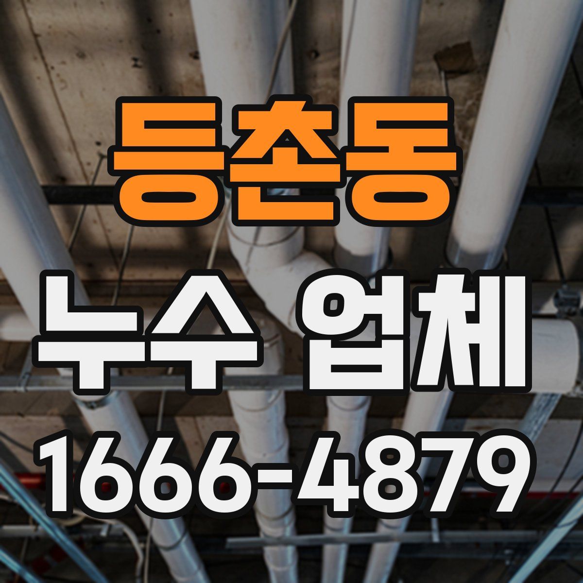 등촌동 누수 업체