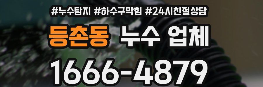 등촌동 누수 업체
