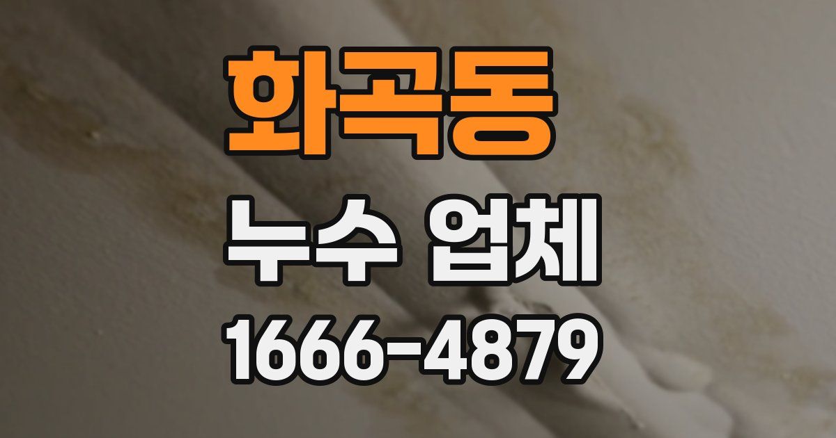 화곡동 누수 업체