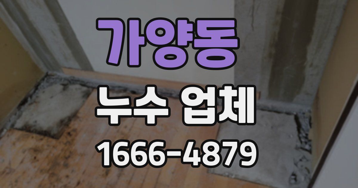 가양동 누수 업체