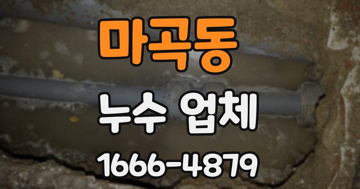 마곡동 누수 업체