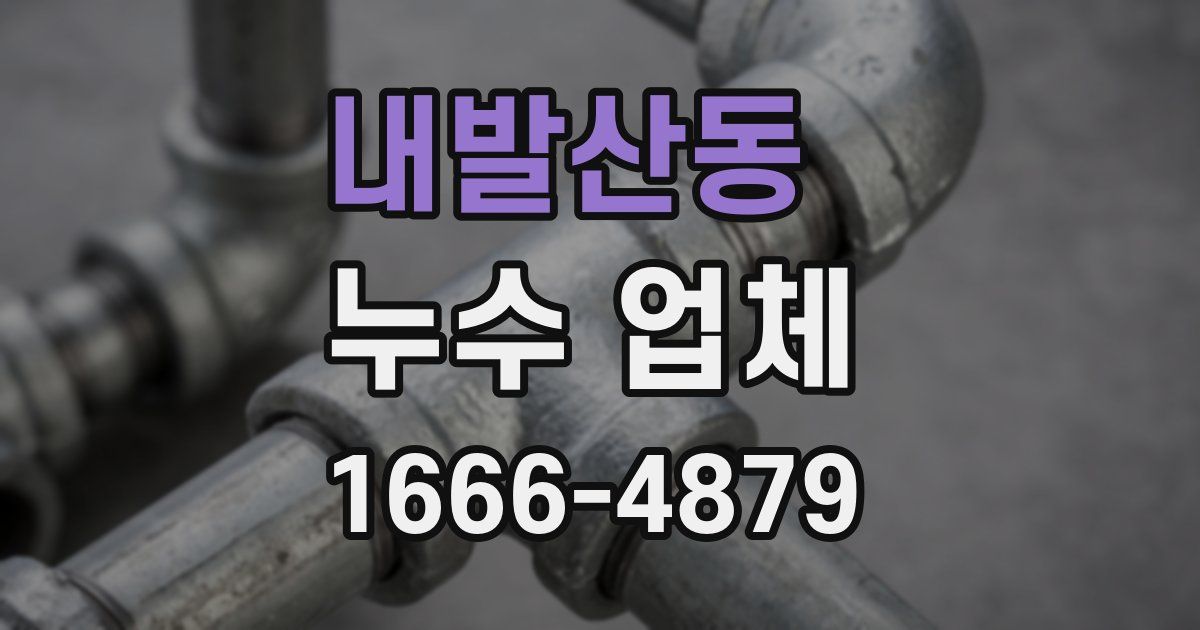 내발산동 누수 업체