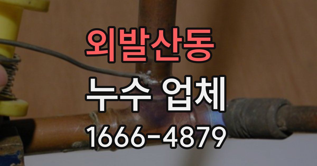 외발산동 누수 업체