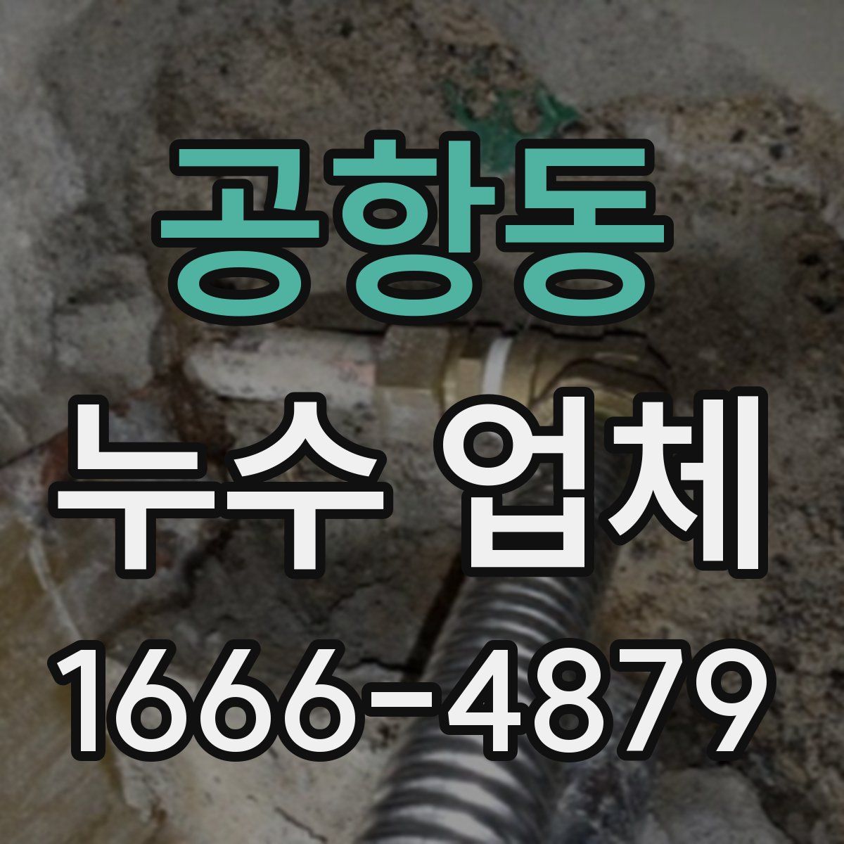 공항동 누수 업체