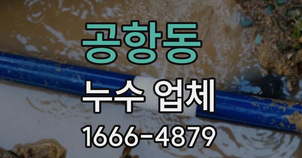 공항동 누수 업체
