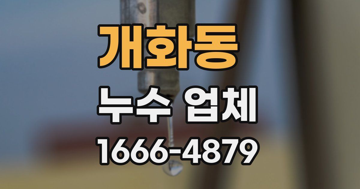 개화동 누수 업체