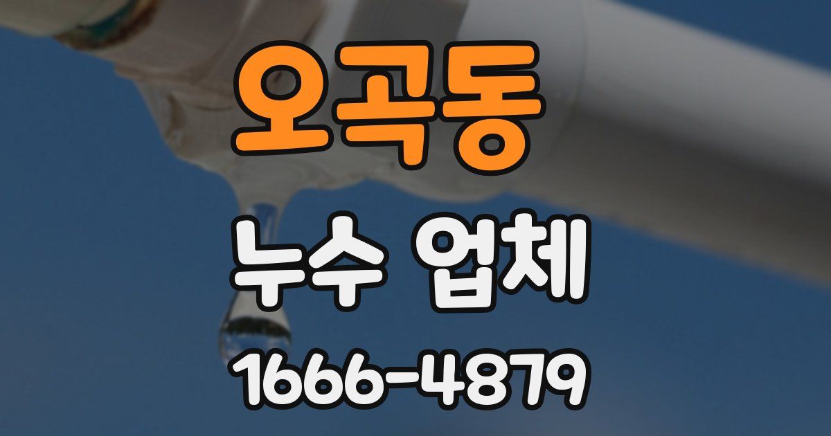 오곡동 누수 업체
