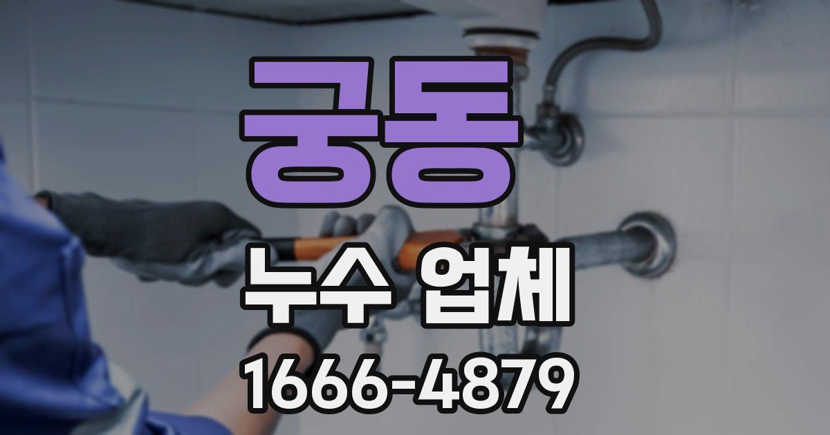 궁동 누수 업체