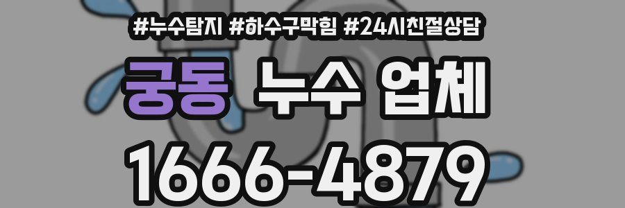 궁동 누수 업체