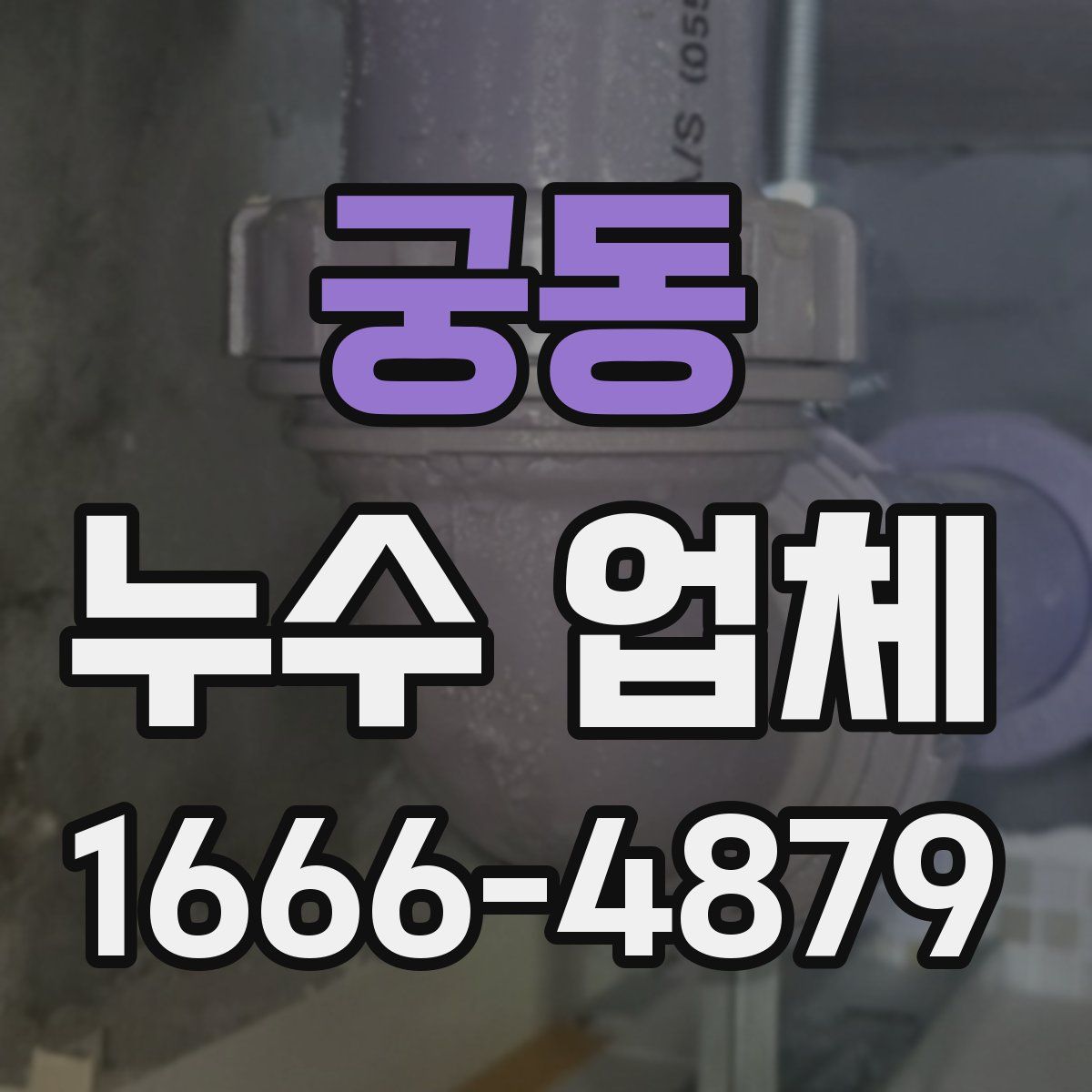 궁동 누수 업체