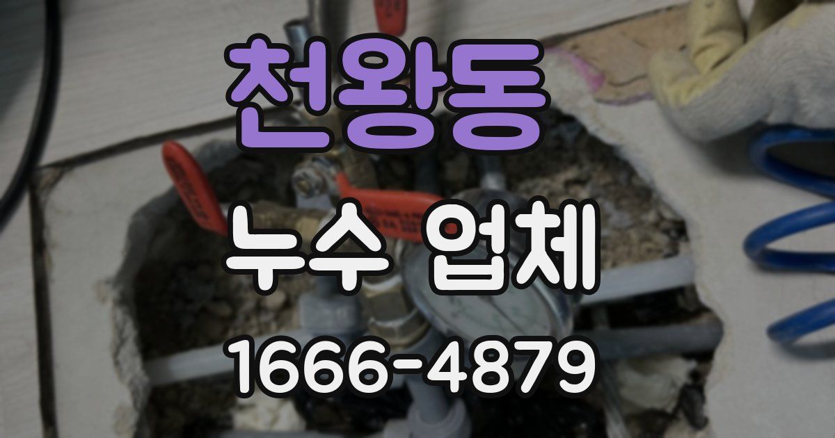 천왕동 누수 업체