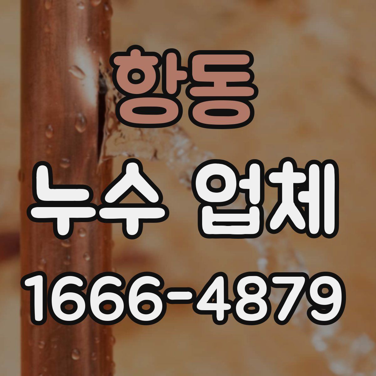 항동 누수 업체