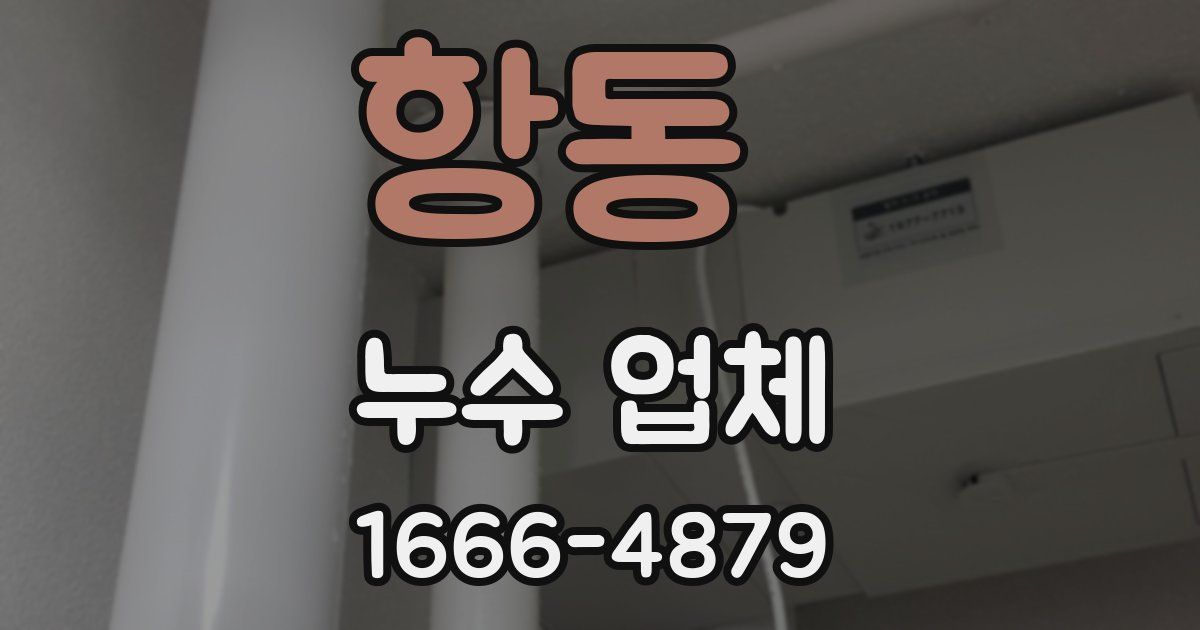 항동 누수 업체