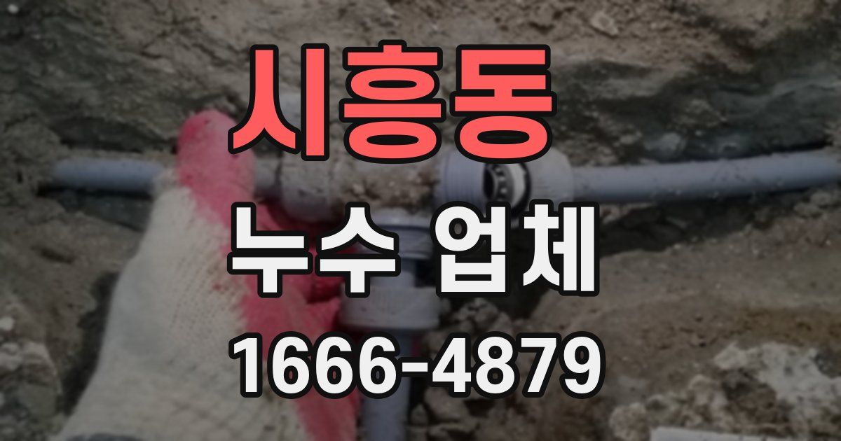 시흥동 누수 업체
