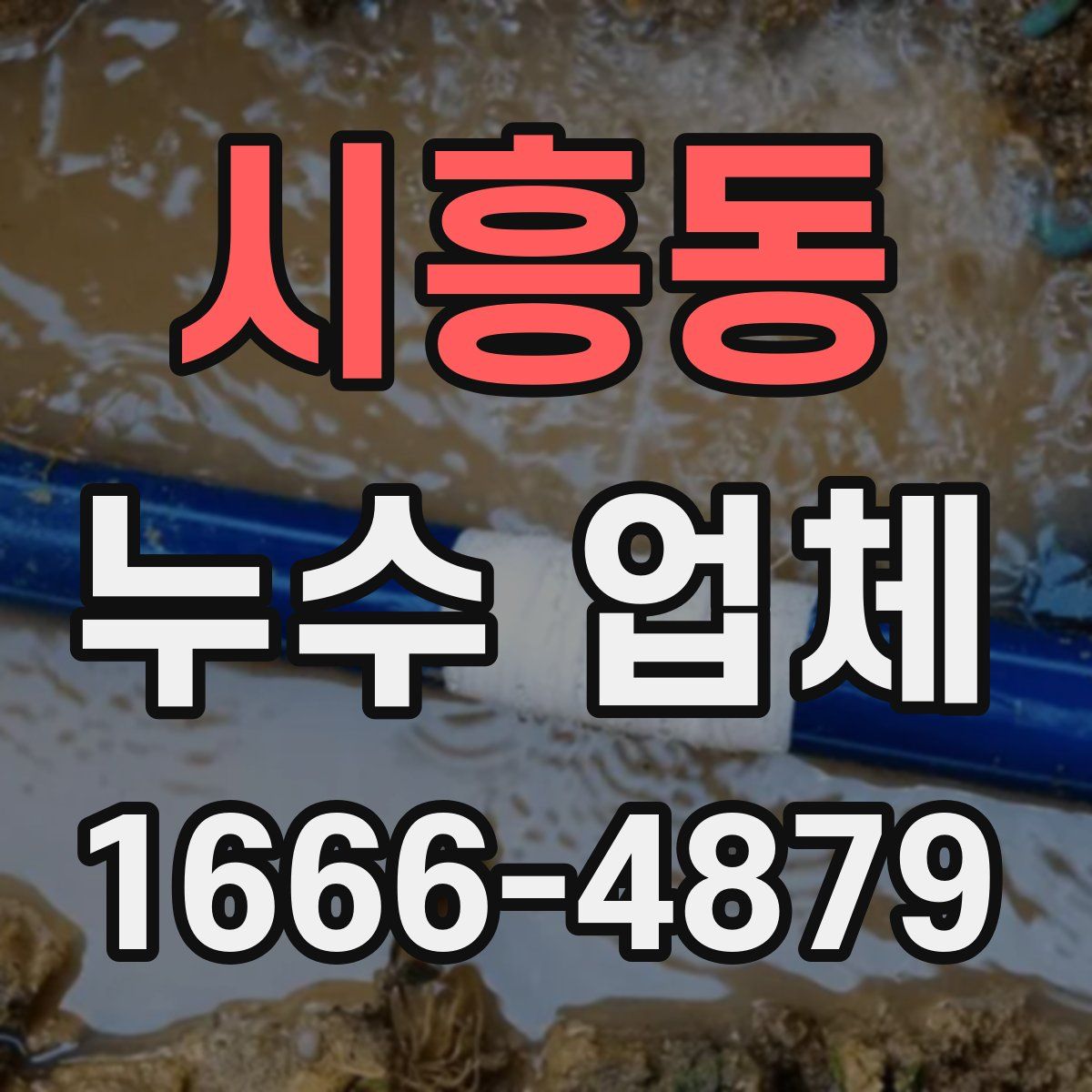 시흥동 누수 업체