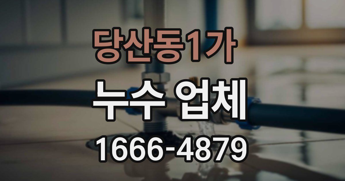 당산동1가 누수 업체
