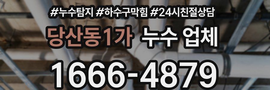 당산동1가 누수 업체