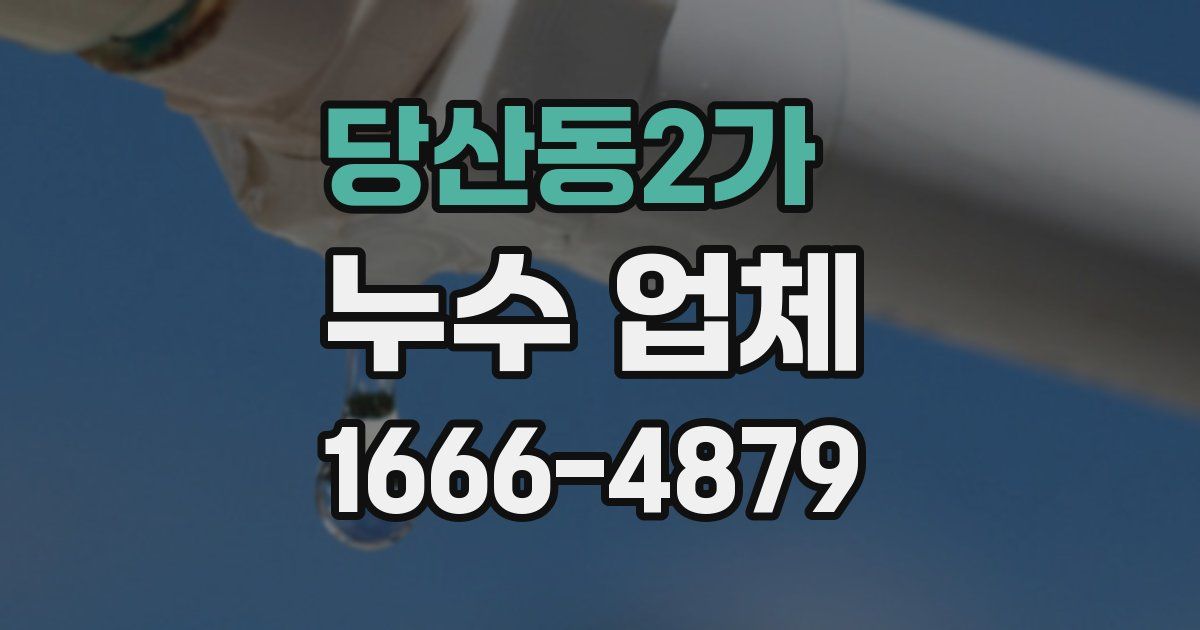 당산동2가 누수 업체