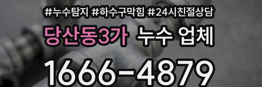 당산동3가 누수 업체