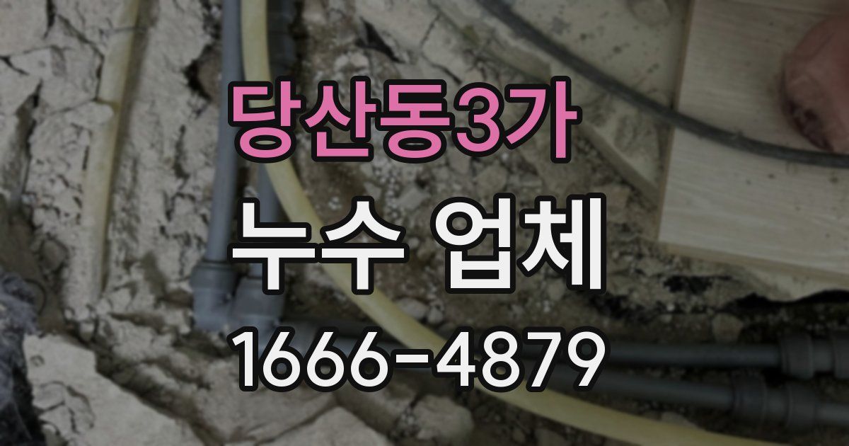 당산동3가 누수 업체
