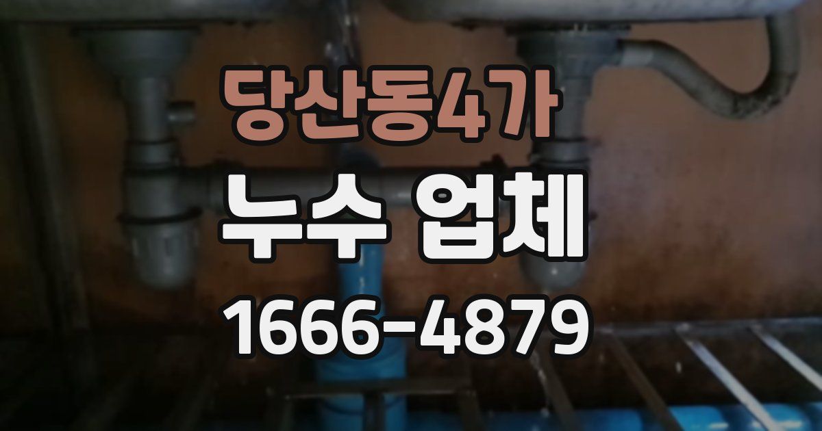 당산동4가 누수 업체