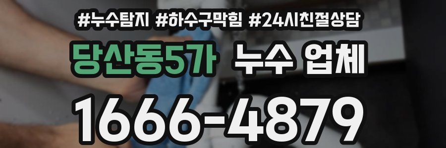 당산동5가 누수 업체