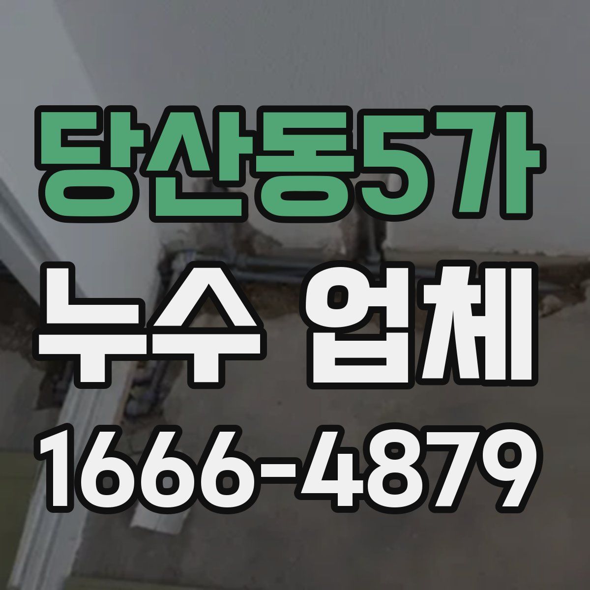당산동5가 누수 업체