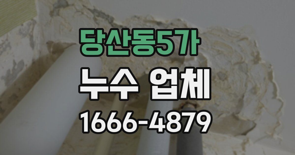 당산동5가 누수 업체