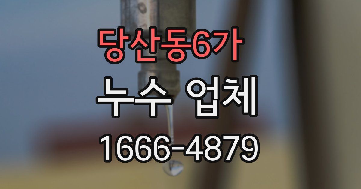 당산동6가 누수 업체
