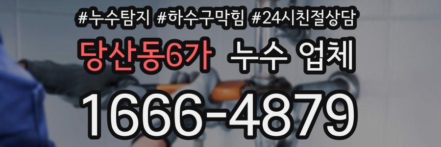 당산동6가 누수 업체