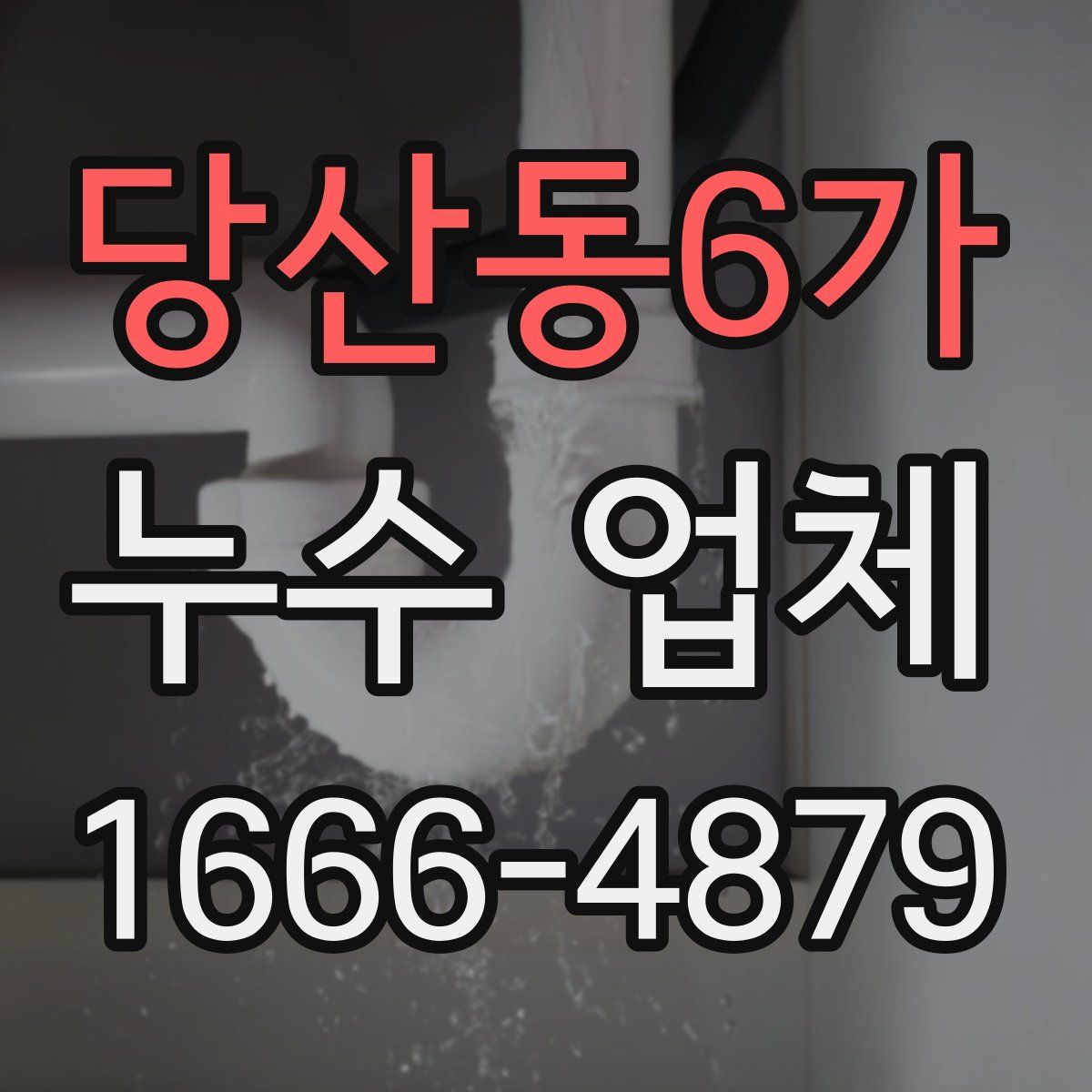당산동6가 누수 업체