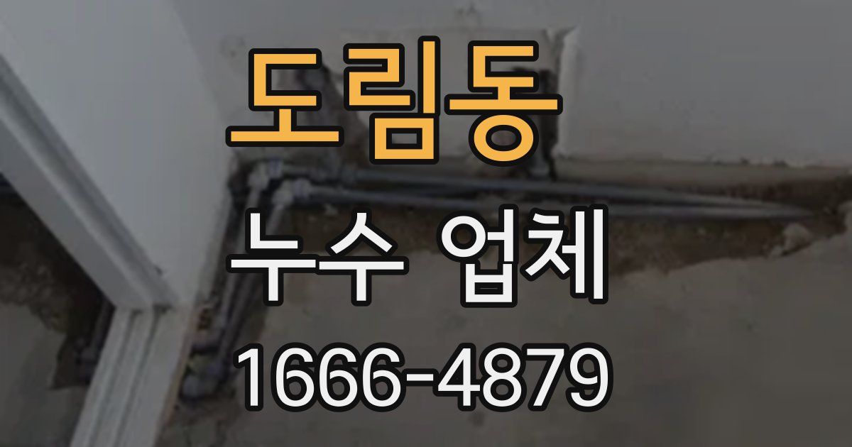 도림동 누수 업체
