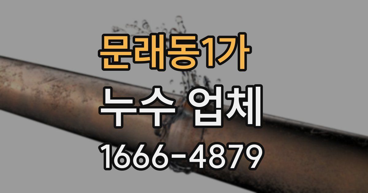 문래동1가 누수 업체