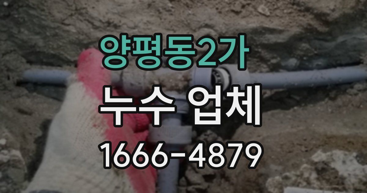 양평동2가 누수 업체