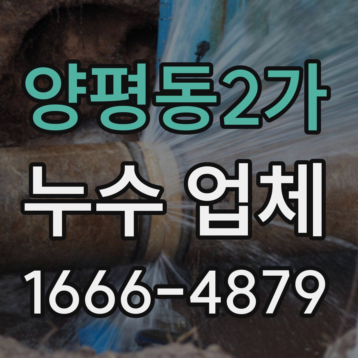 양평동2가 누수 업체