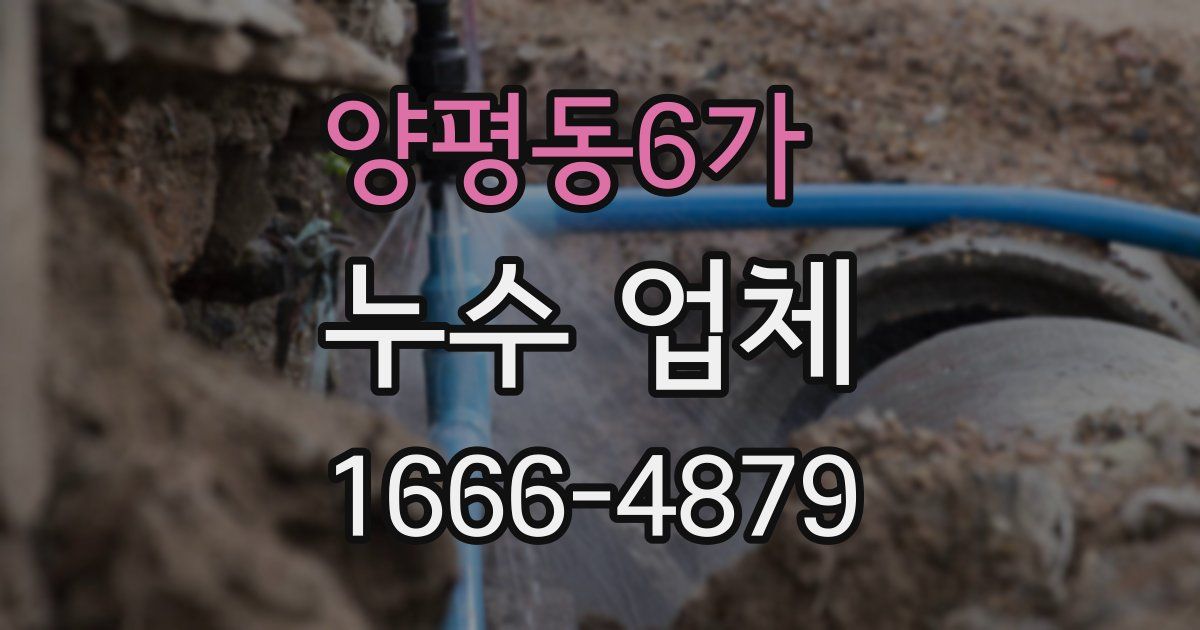 양평동6가 누수 업체