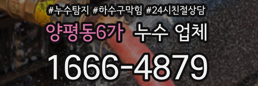 양평동6가 누수 업체