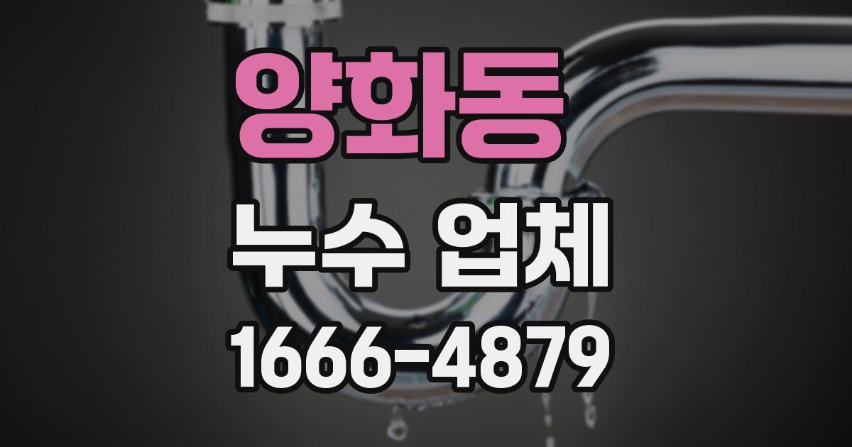 양화동 누수 업체