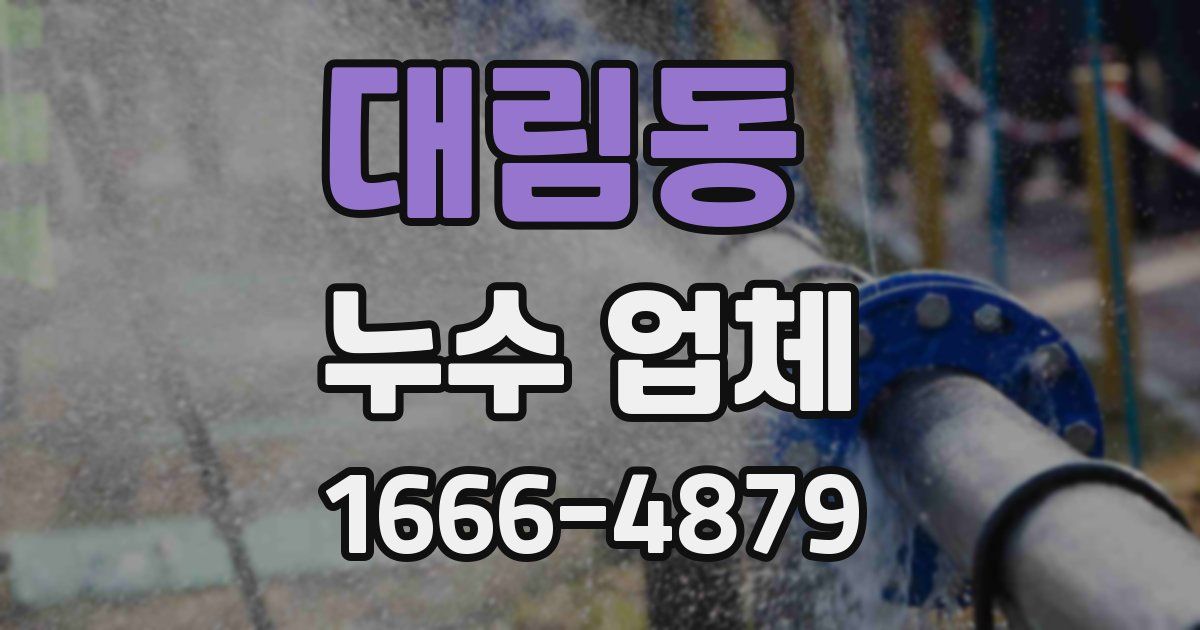 대림동 누수 업체