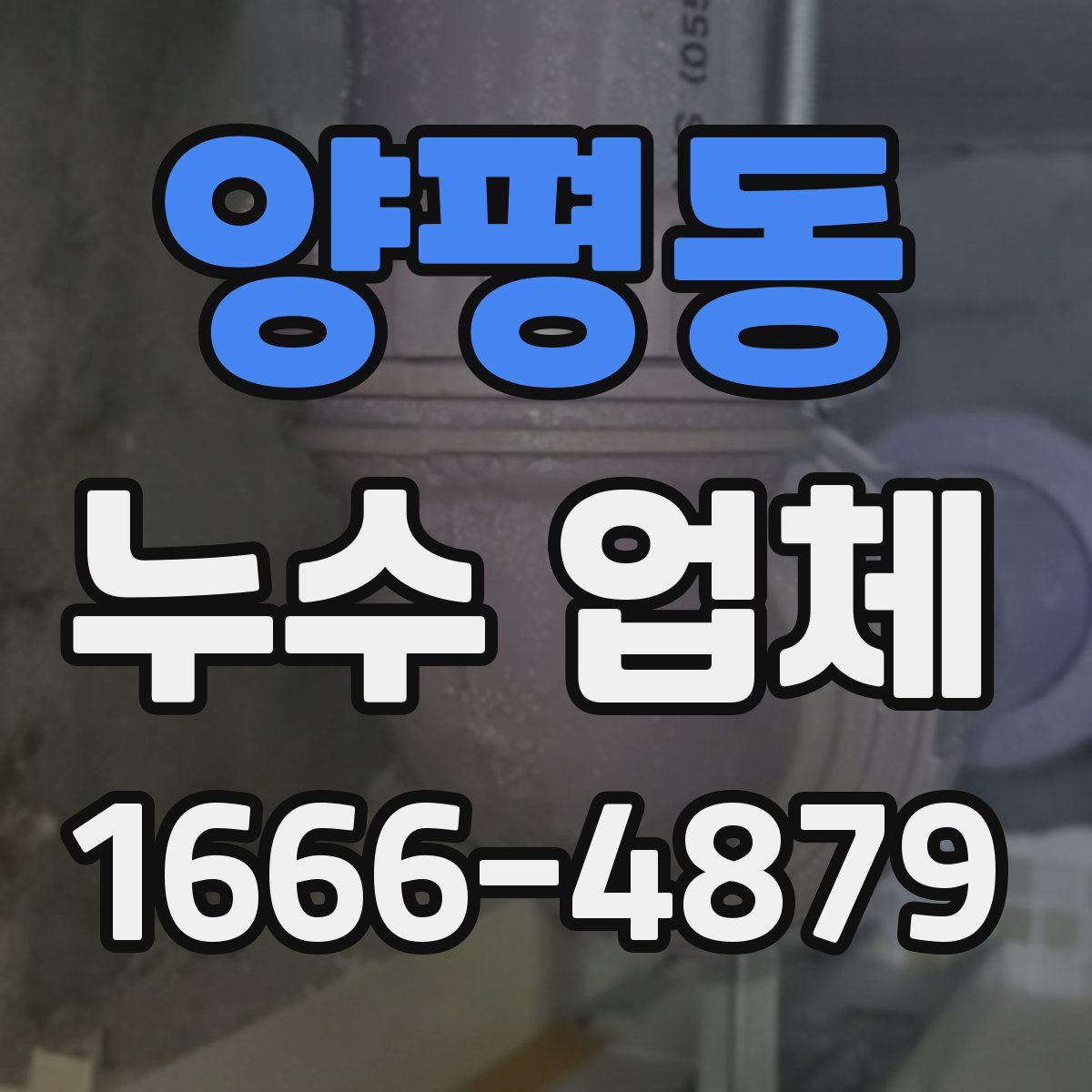 양평동 누수 업체