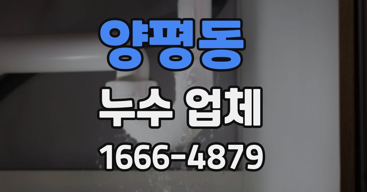 양평동 누수 업체