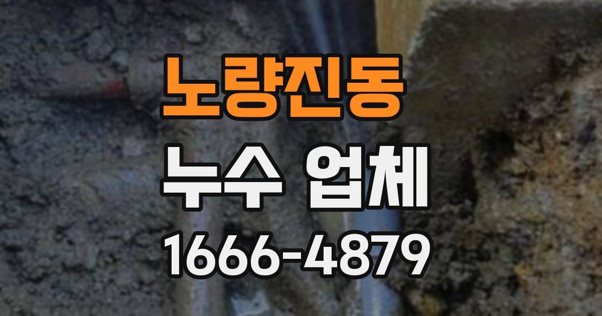 노량진동 누수 업체